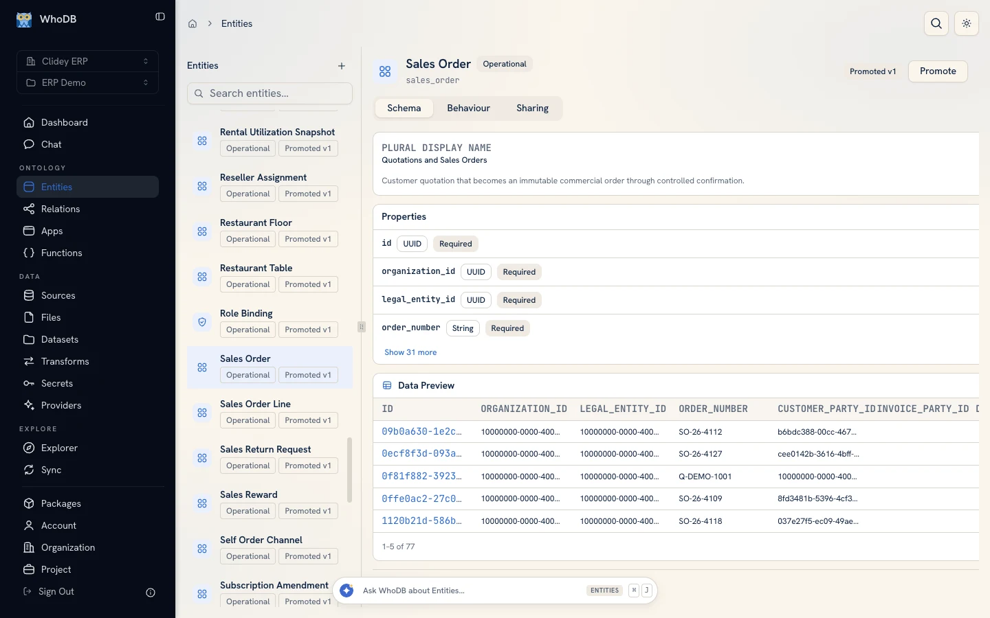 Clidey ERP Sales Order entity with schema and synthetic order records
